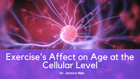 Exercise’s Affect on Age at the Cellular Level