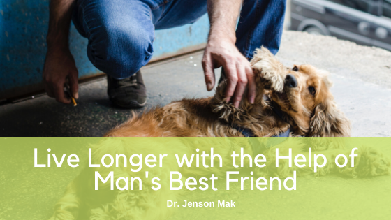 Live Longer with the Help of Man’s Best Friend