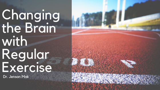 Changing the Brain with Regular Exercise