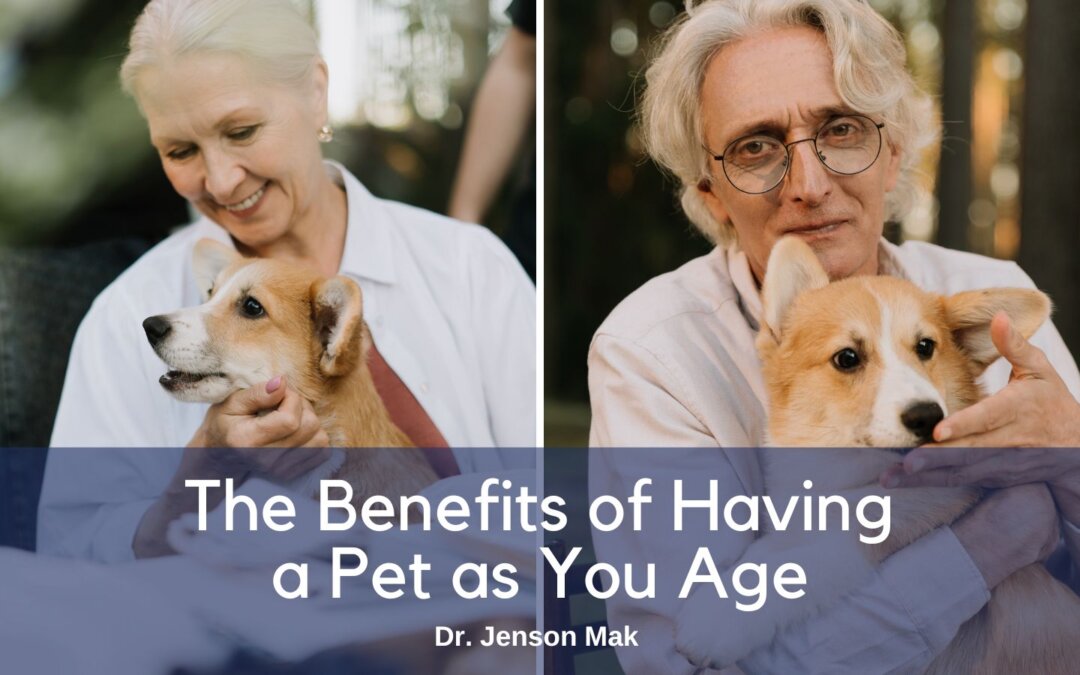 The Benefits of Having a Pet as You Age